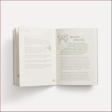 Load image into Gallery viewer, Play the Forest School Way